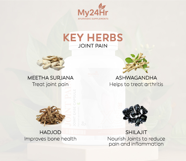 My24Hr Joint Pain Capsules – Herbal Support for Joints & Muscles