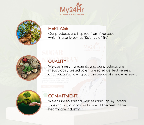 My24Hr – Your Trusted Ayurvedic Solution for the Best Piles Expert