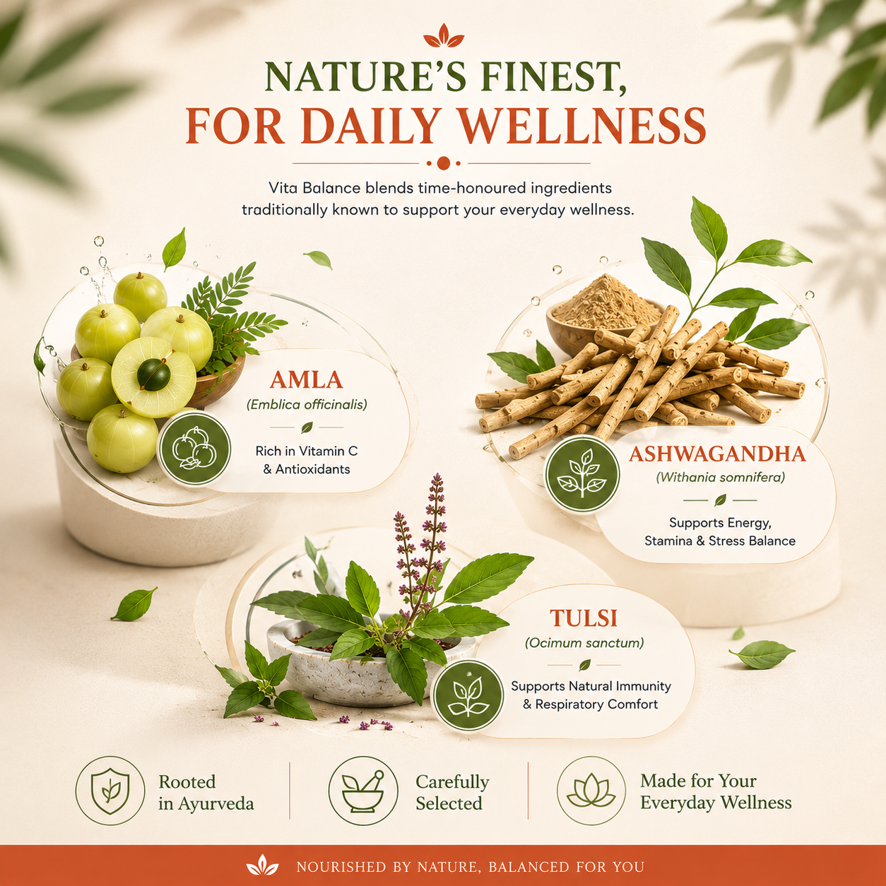 Vita Balance — Ayurvedic Daily Wellness Supplement for Immunity, Energy & Vitality