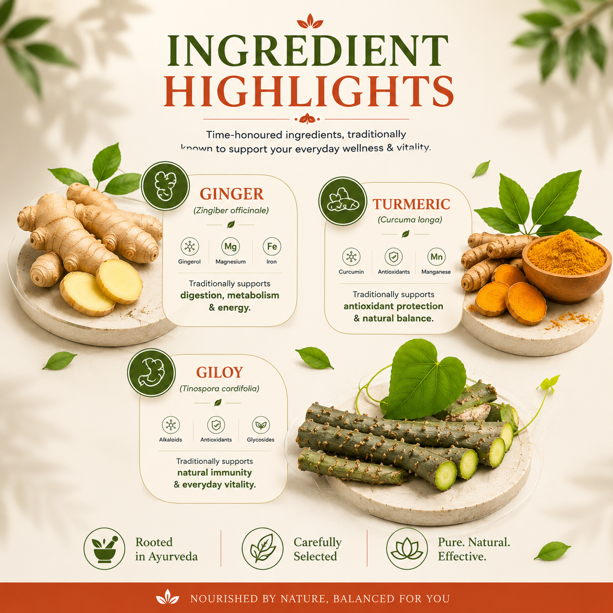 Vita Balance — Ayurvedic Daily Wellness Supplement for Immunity, Energy & Vitality