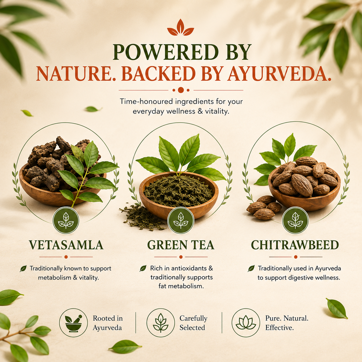 Vita Balance — Ayurvedic Daily Wellness Supplement for Immunity, Energy & Vitality