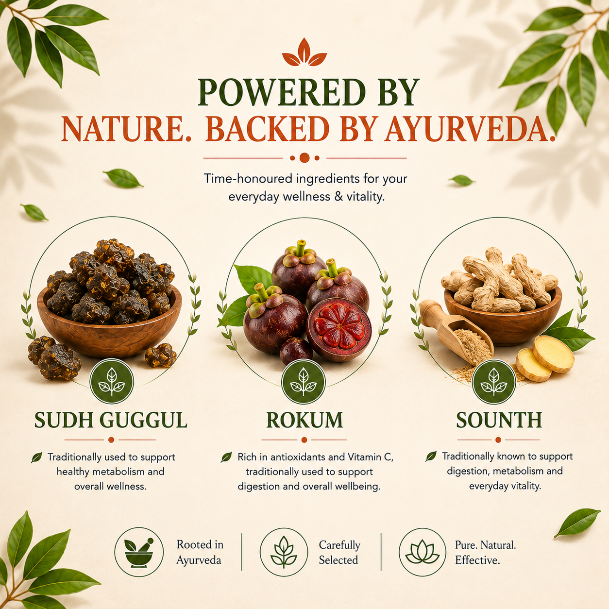 Vita Balance — Ayurvedic Daily Wellness Supplement for Immunity, Energy & Vitality