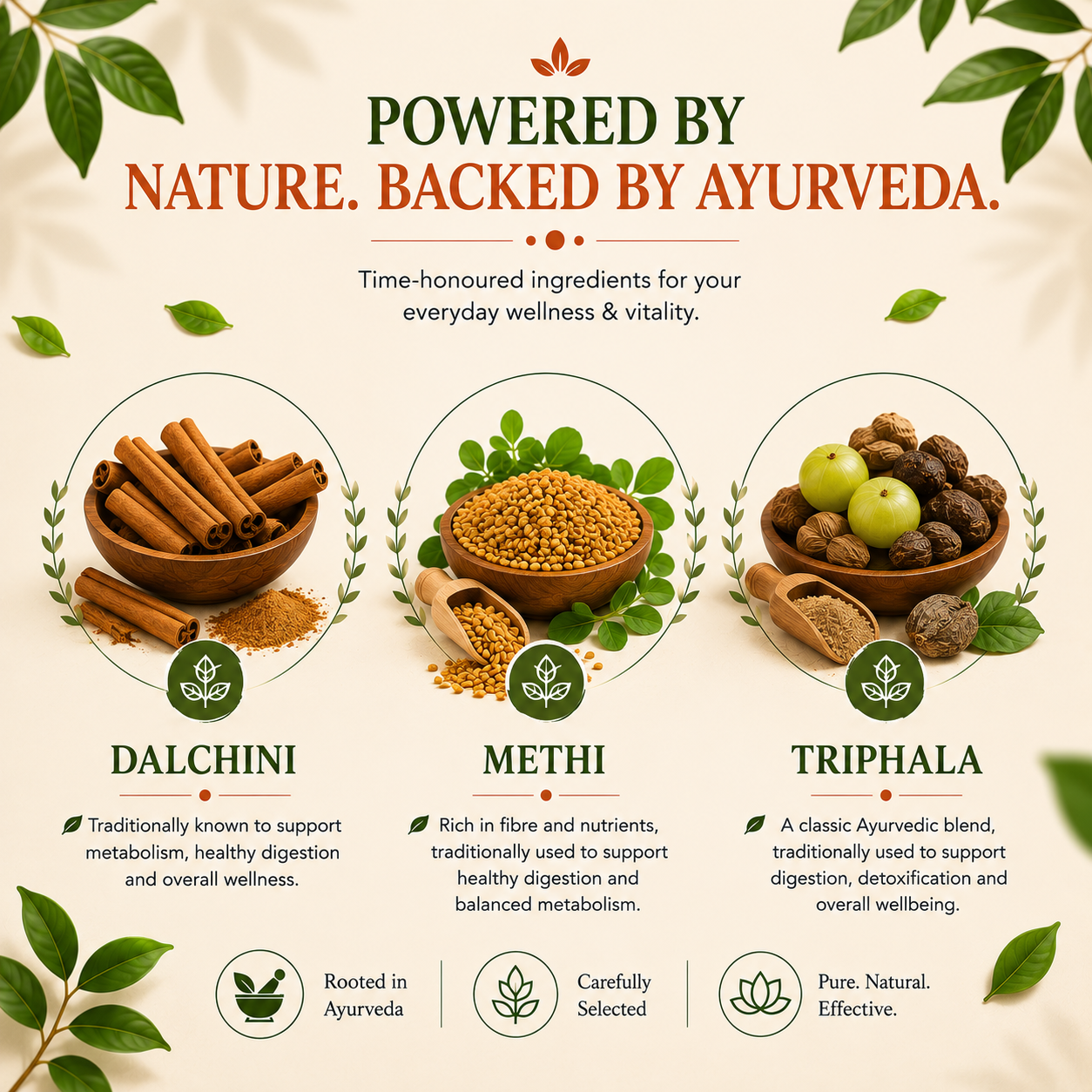 Vita Balance — Ayurvedic Daily Wellness Supplement for Immunity, Energy & Vitality