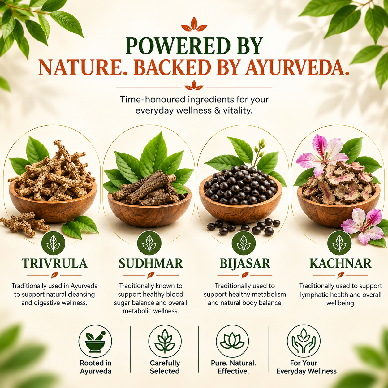 Vita Balance — Ayurvedic Daily Wellness Supplement for Immunity, Energy & Vitality