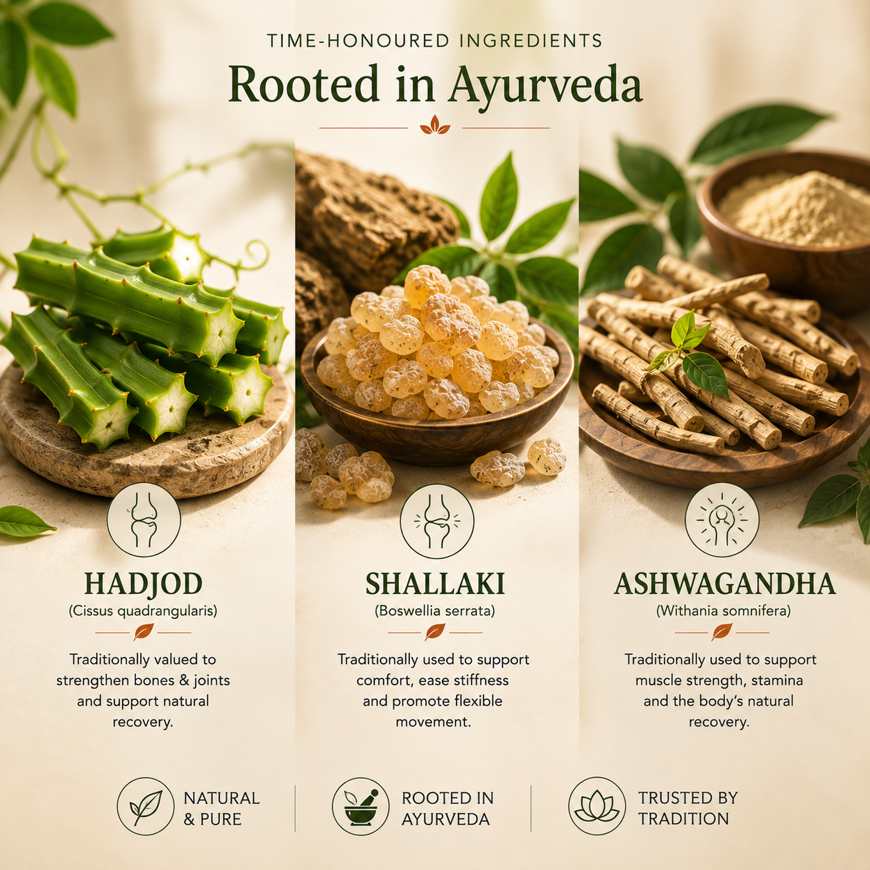 Joint Balance — Ayurvedic Support for Joint Comfort, Flexibility & Muscle Strength