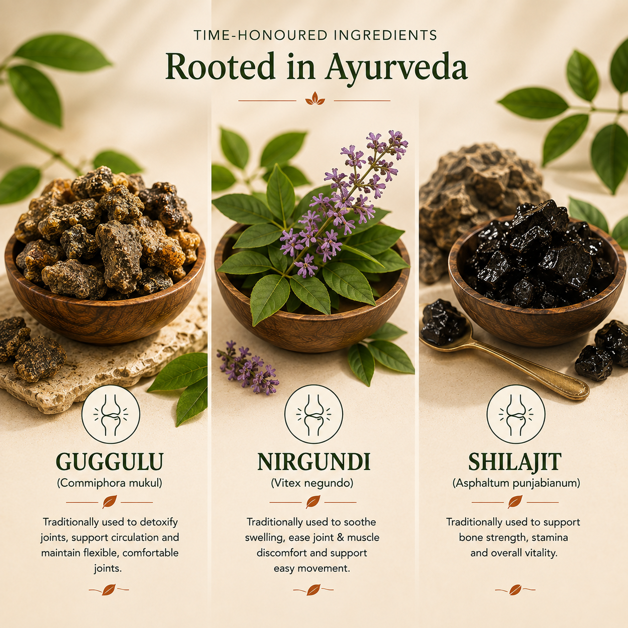 Joint Balance — Ayurvedic Support for Joint Comfort, Flexibility & Muscle Strength
