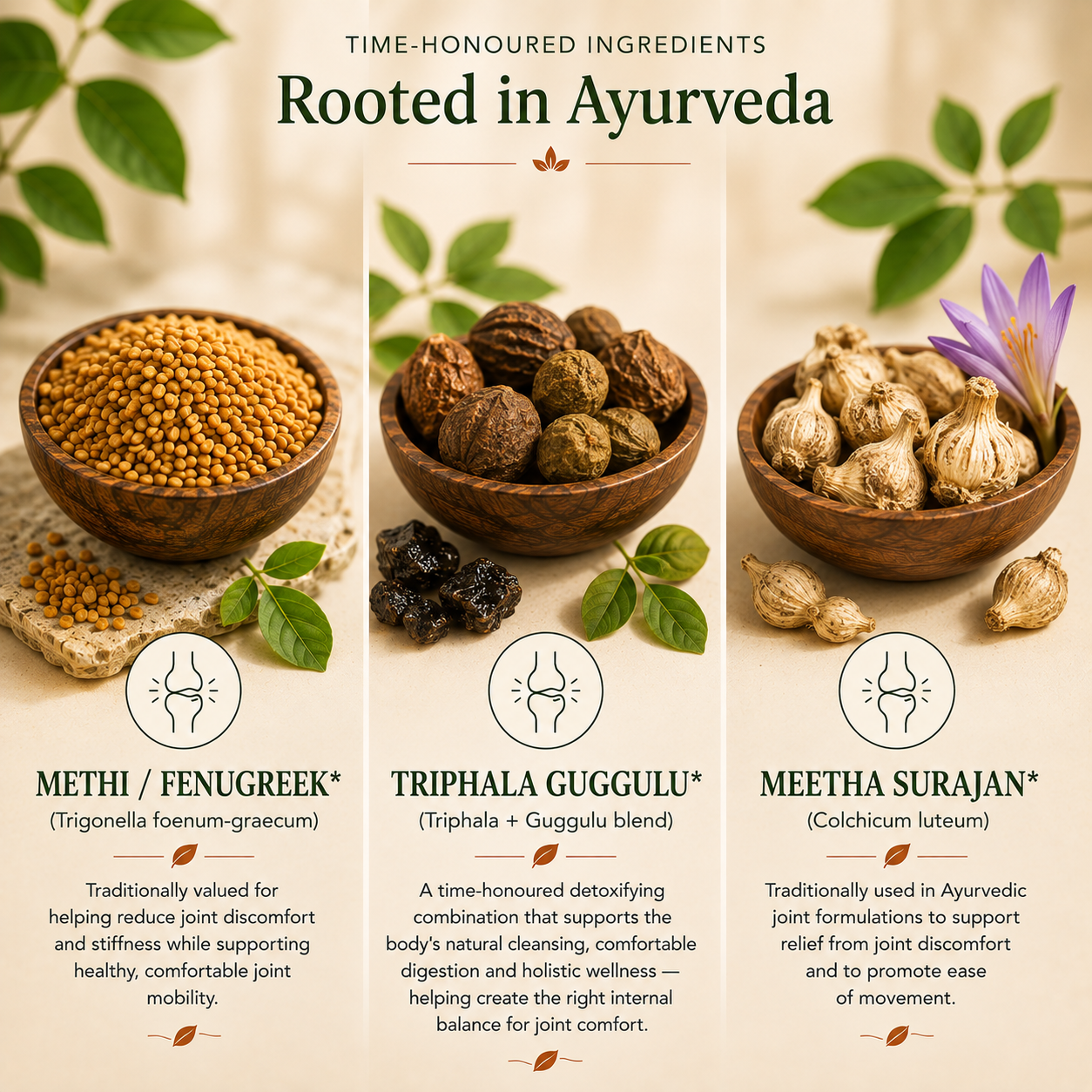 Joint Balance — Ayurvedic Support for Joint Comfort, Flexibility & Muscle Strength